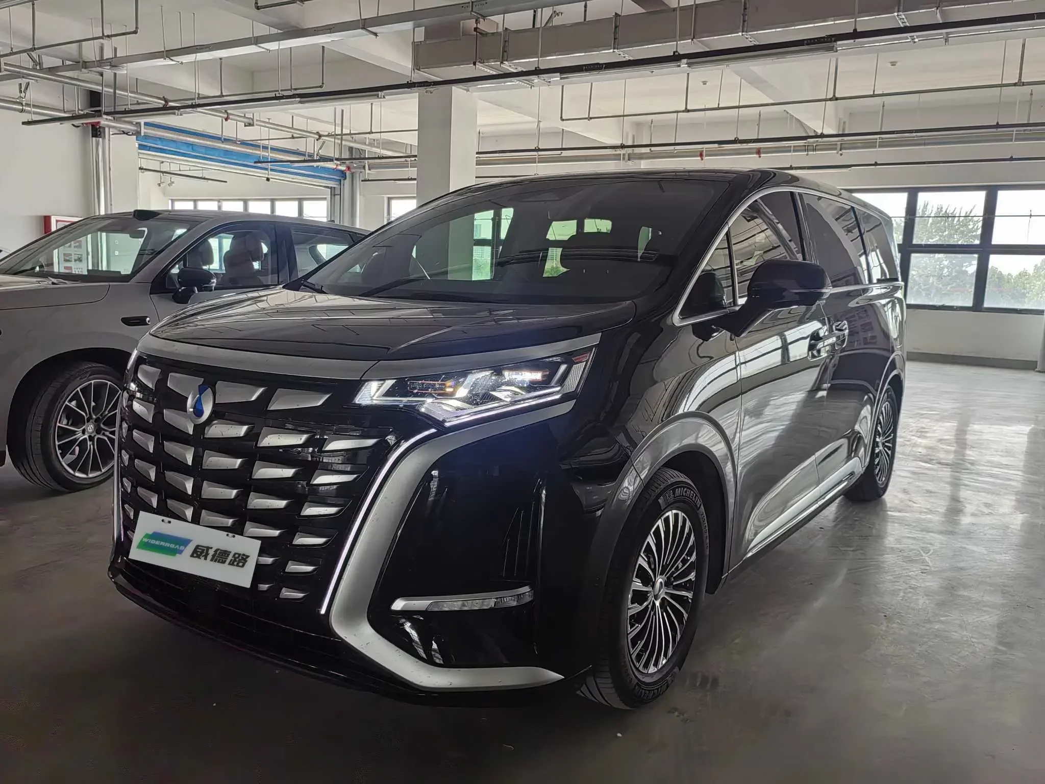 Denza D9 DM
