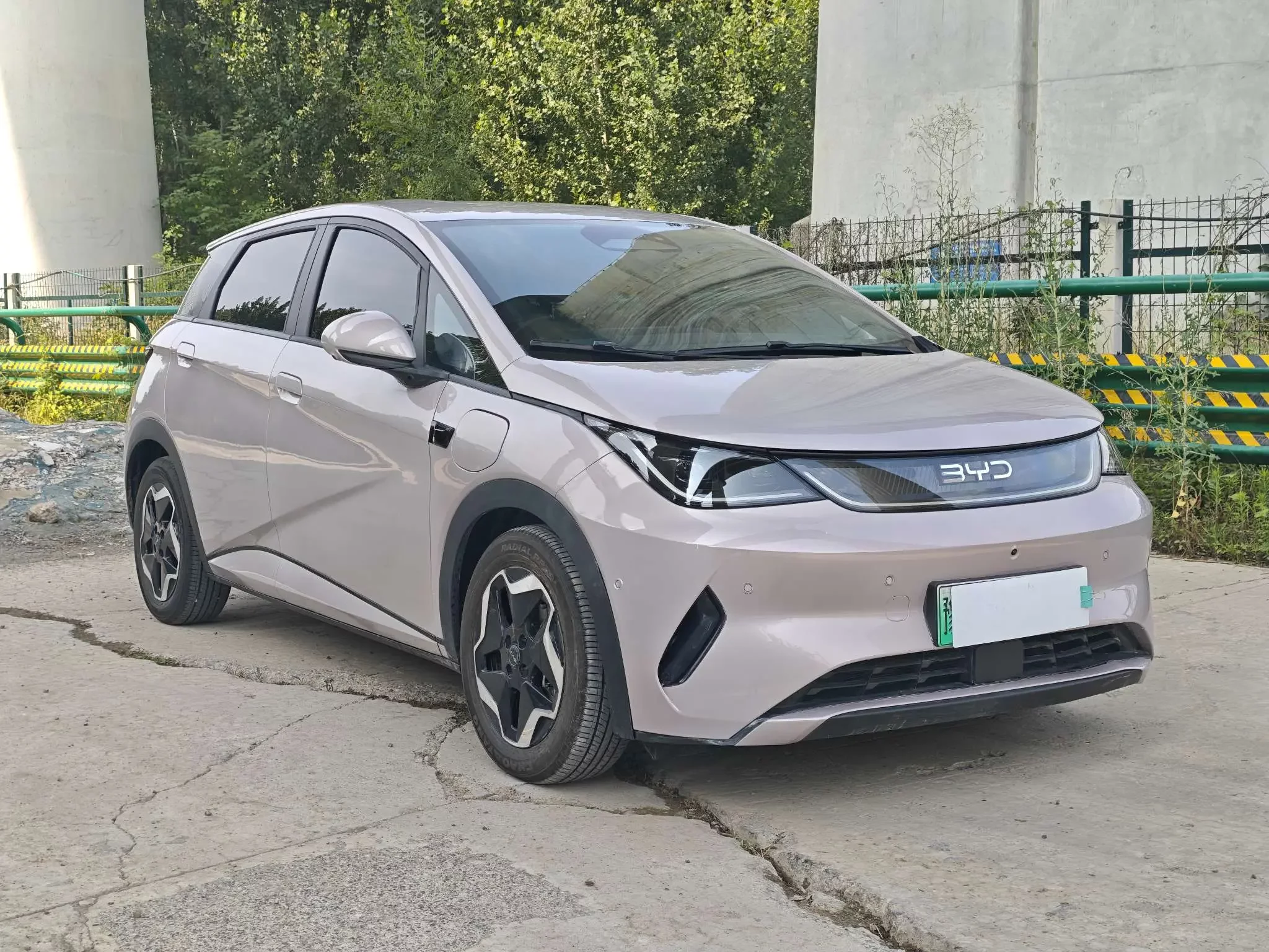 BYD dolphin