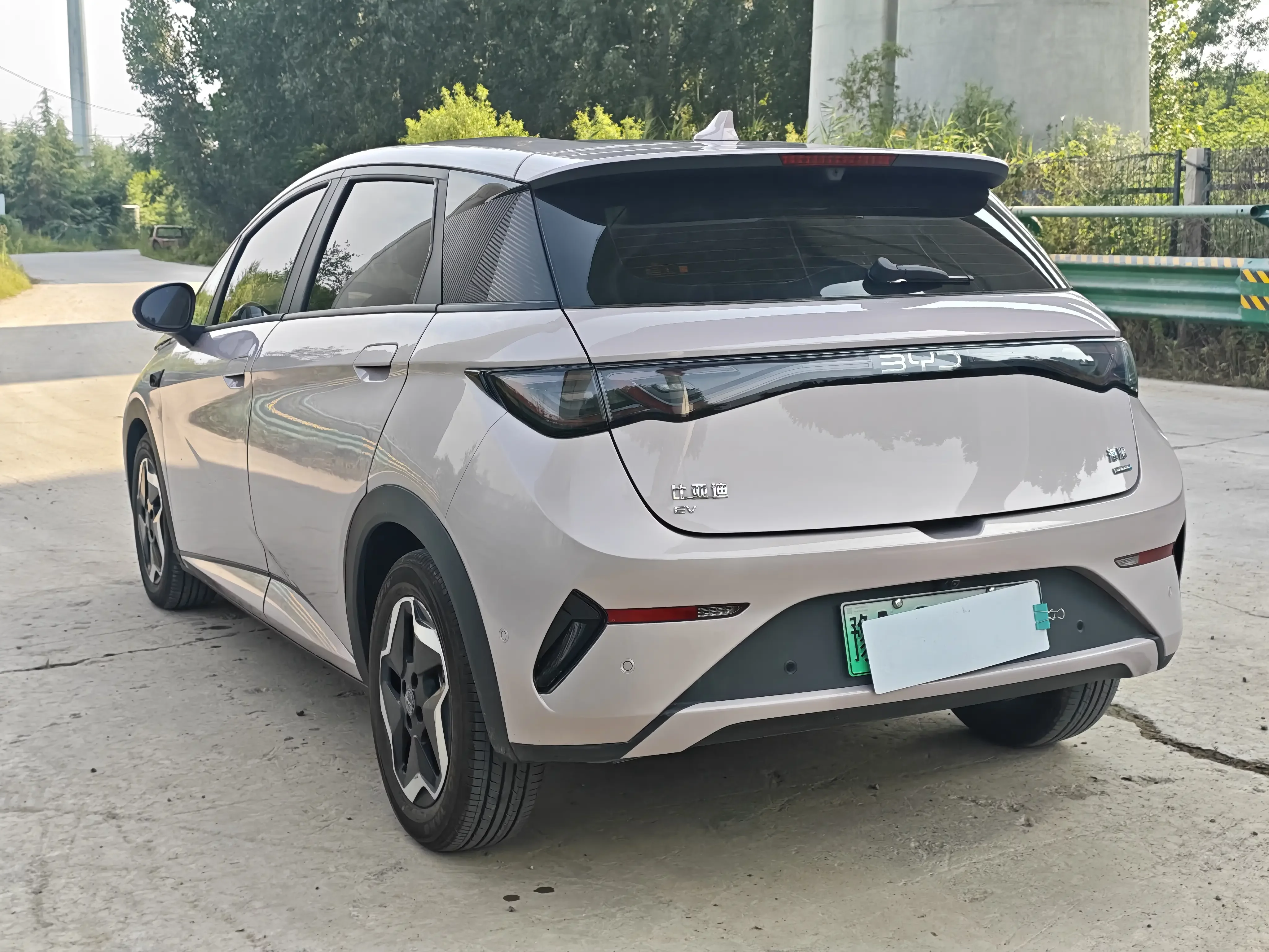 BYD dolphin