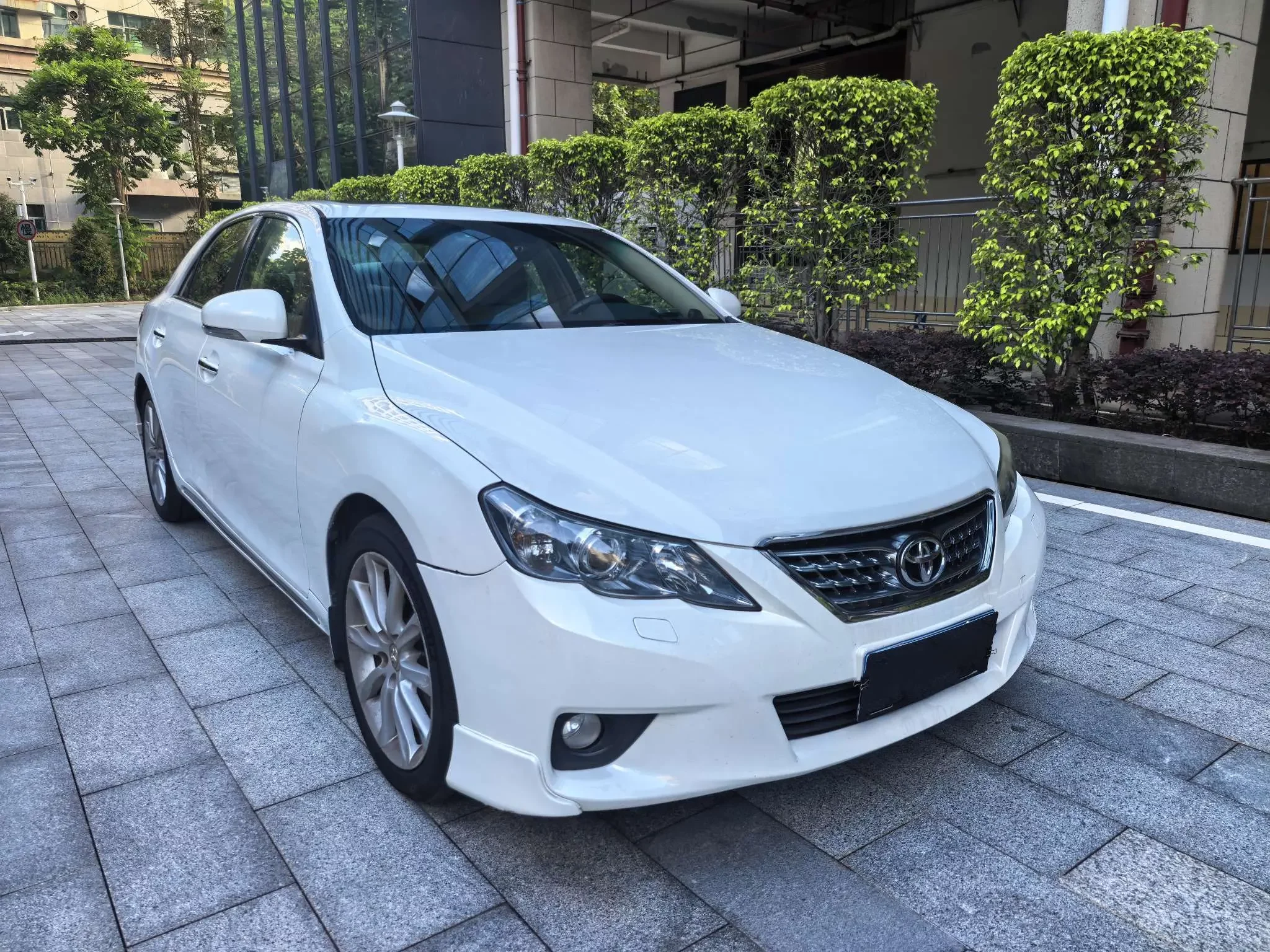 Toyota Ruizhi