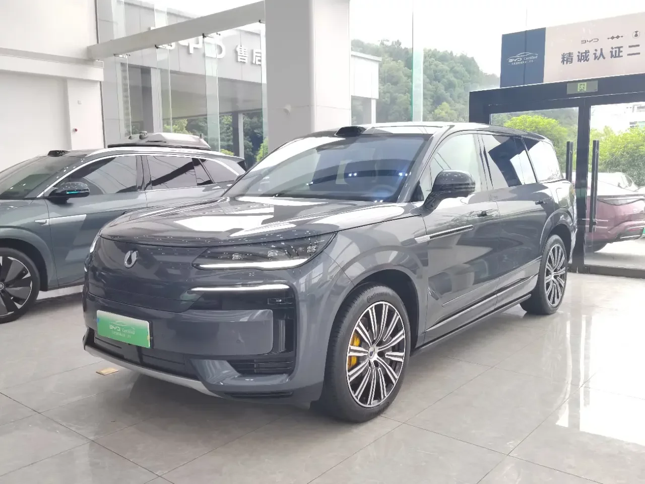 Denza Tengzhong N9 DM
