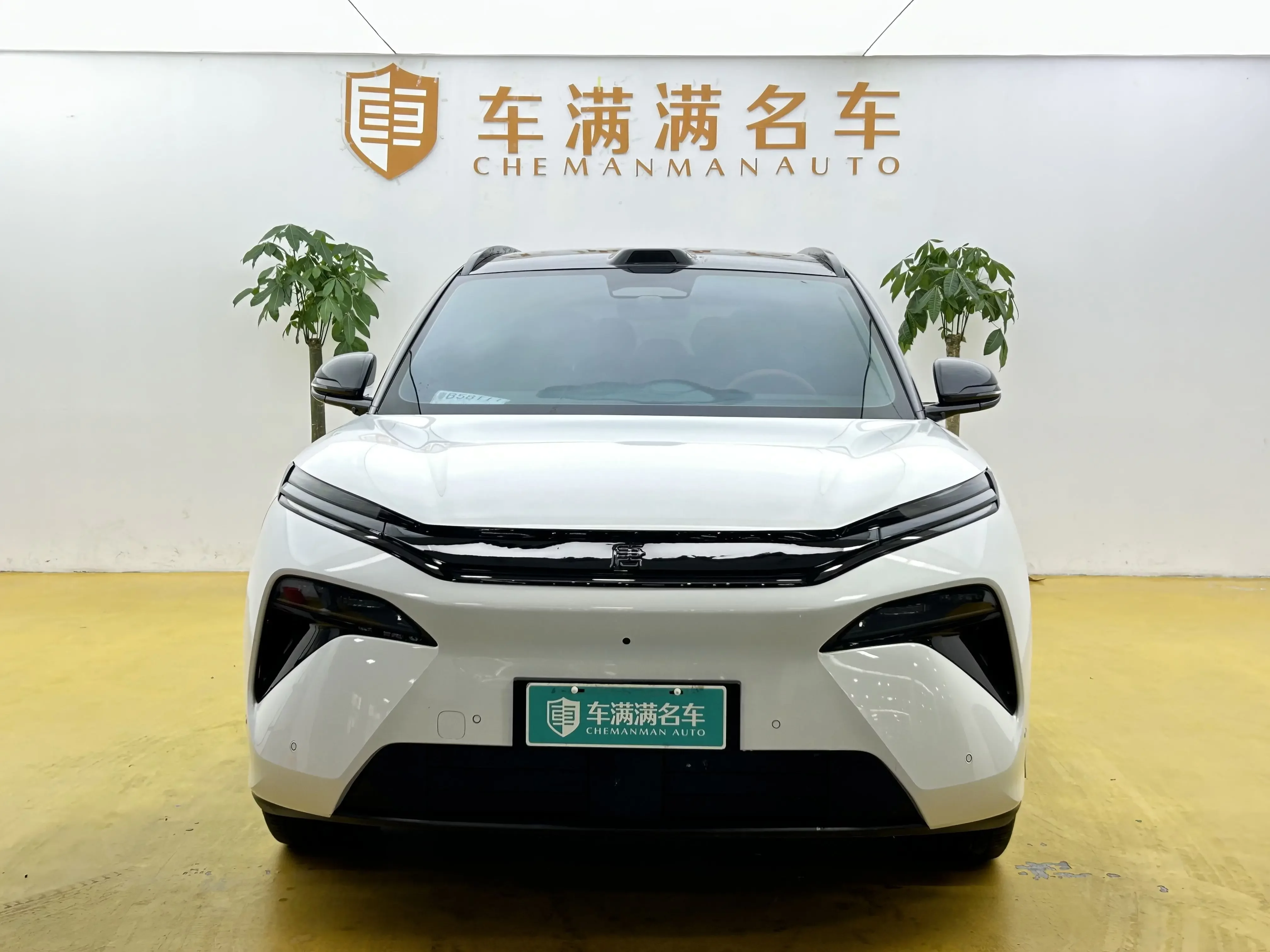 BYD Tang L EV