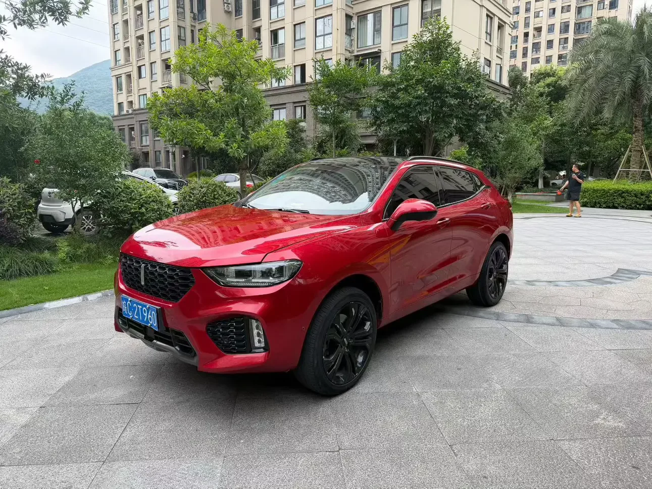 Wey Wei brand VV5