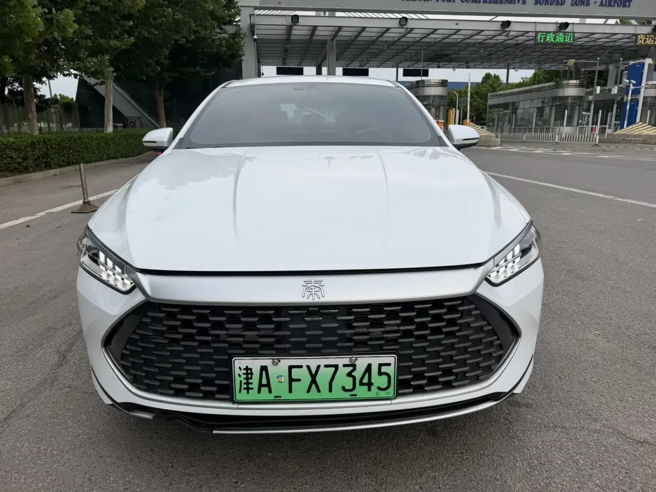 BYD Qin PLUS DM
