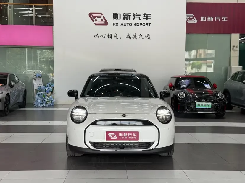 MINI ELECTRIC  COOPER
