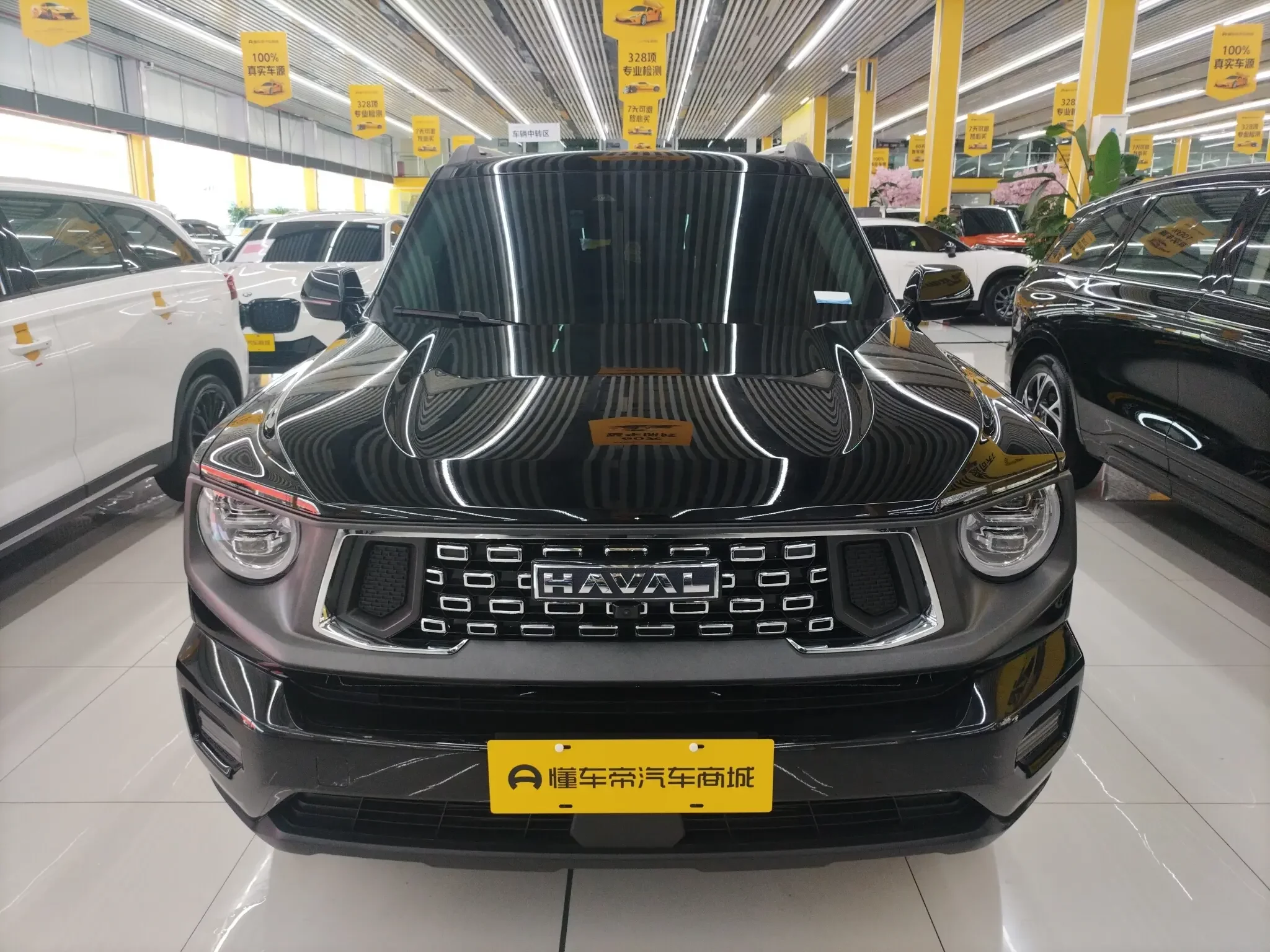 Haval H-Dog