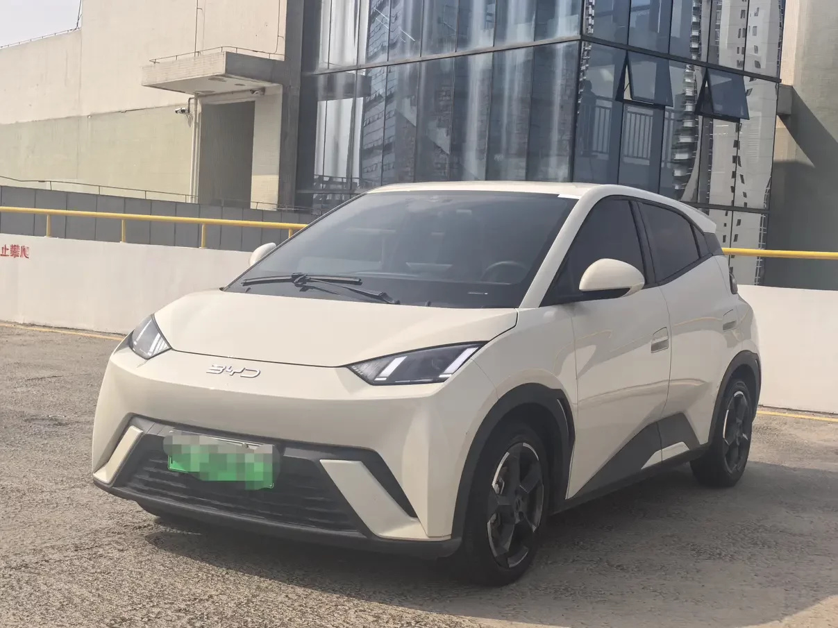 BYD seagull