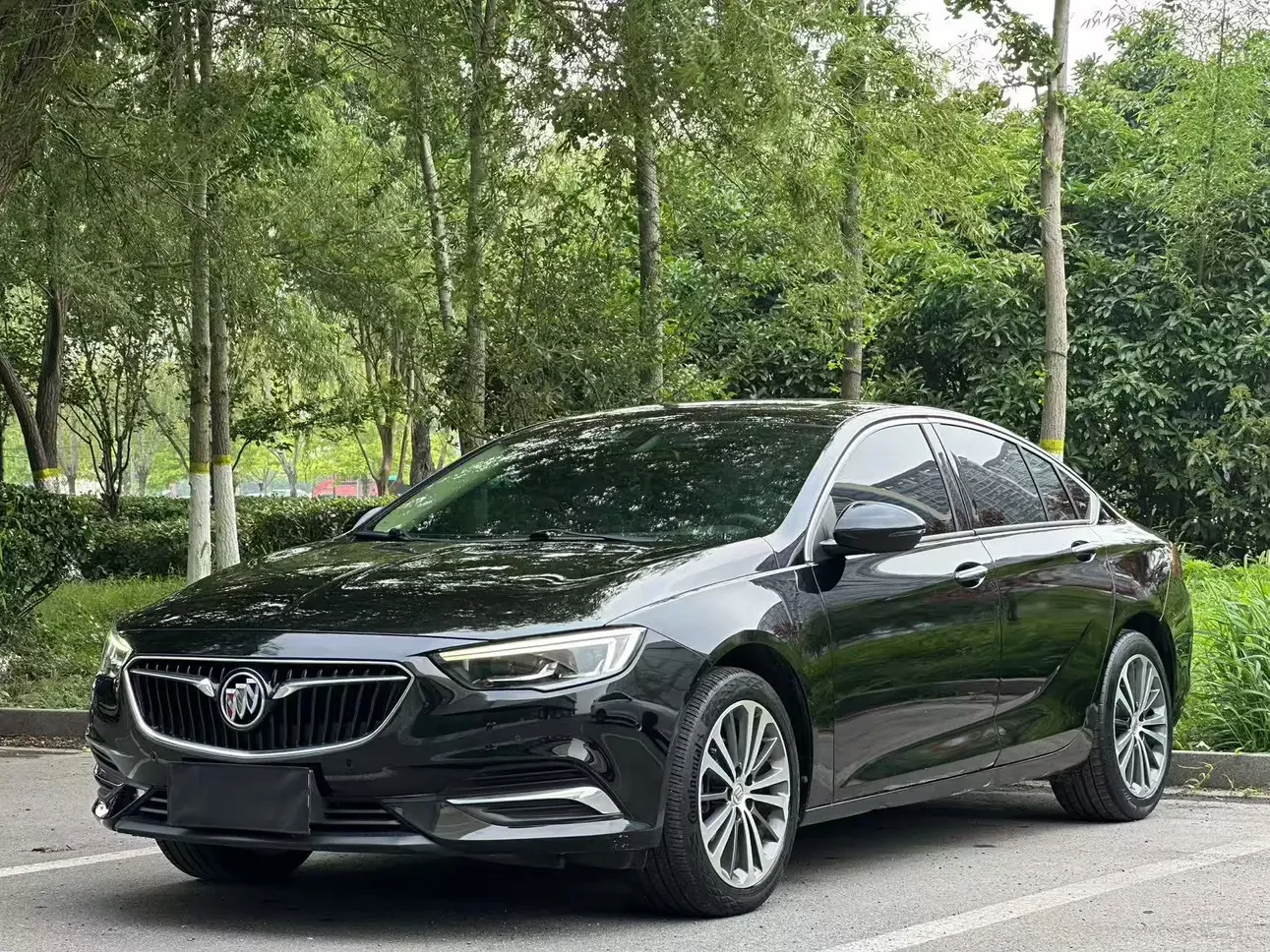Buick Majesty