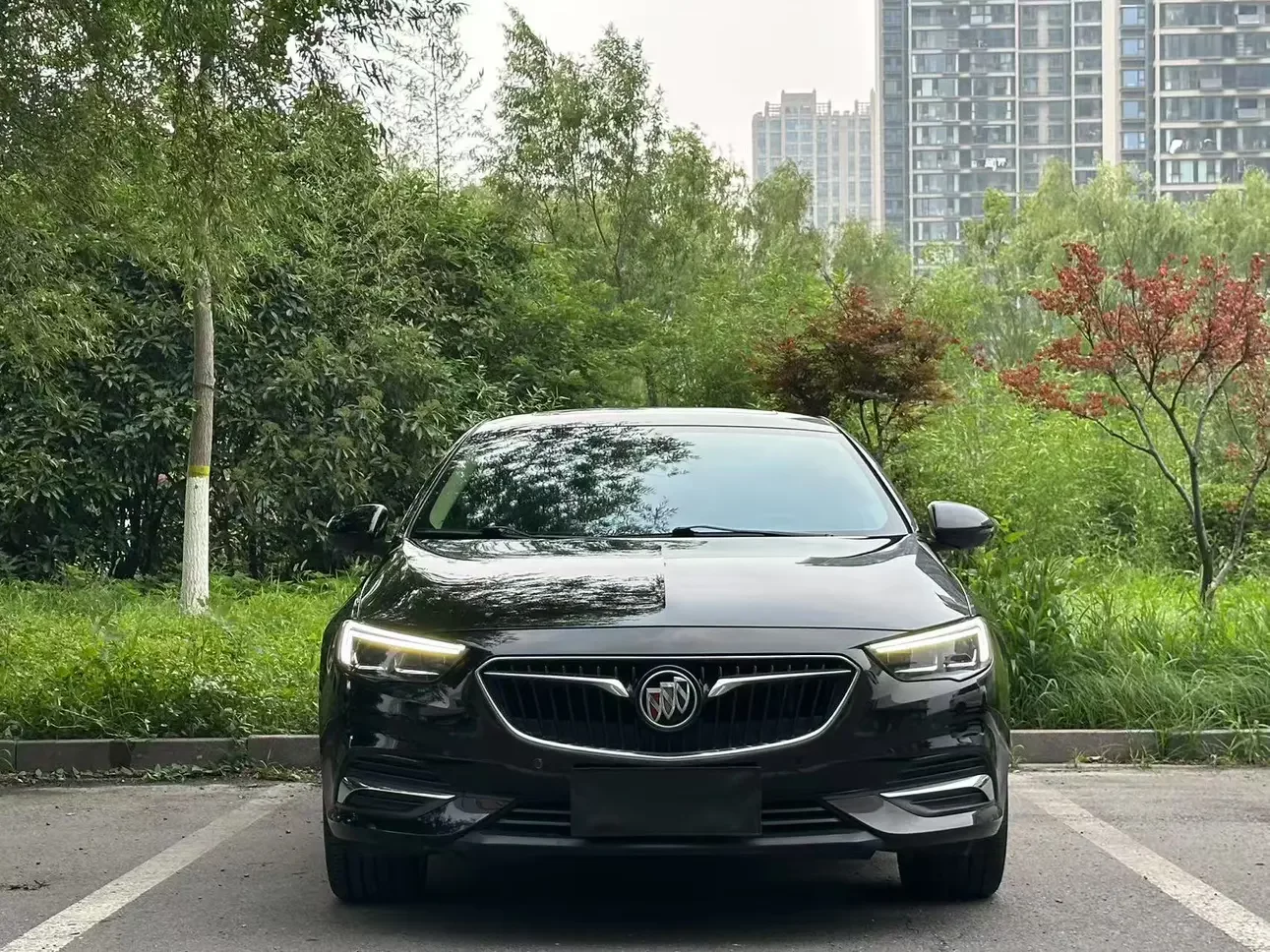 Buick Majesty