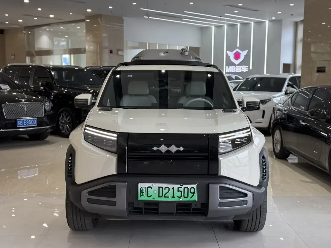 BYD Leopard Titanium 3