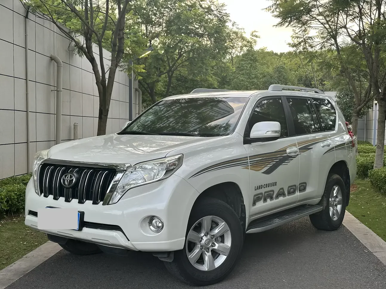 Toyota prado