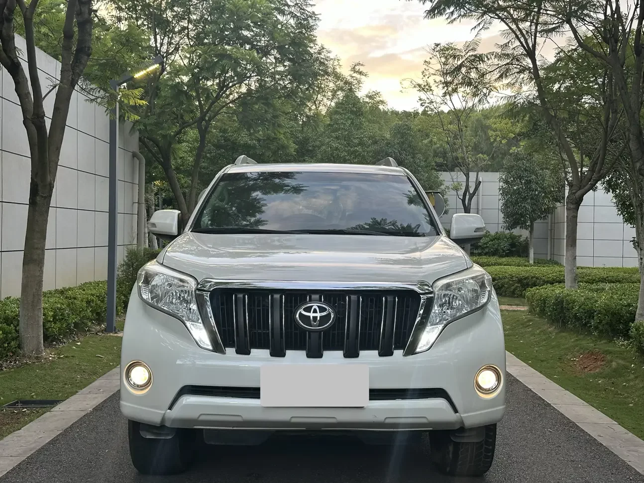 Toyota prado