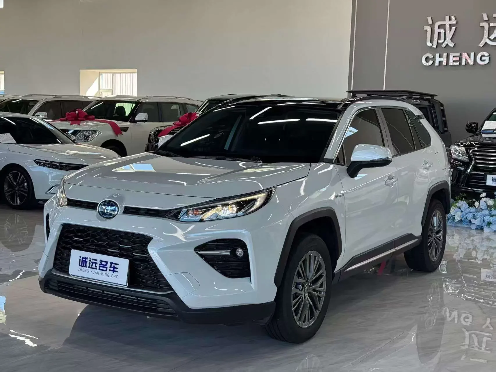 Toyota Willanda
