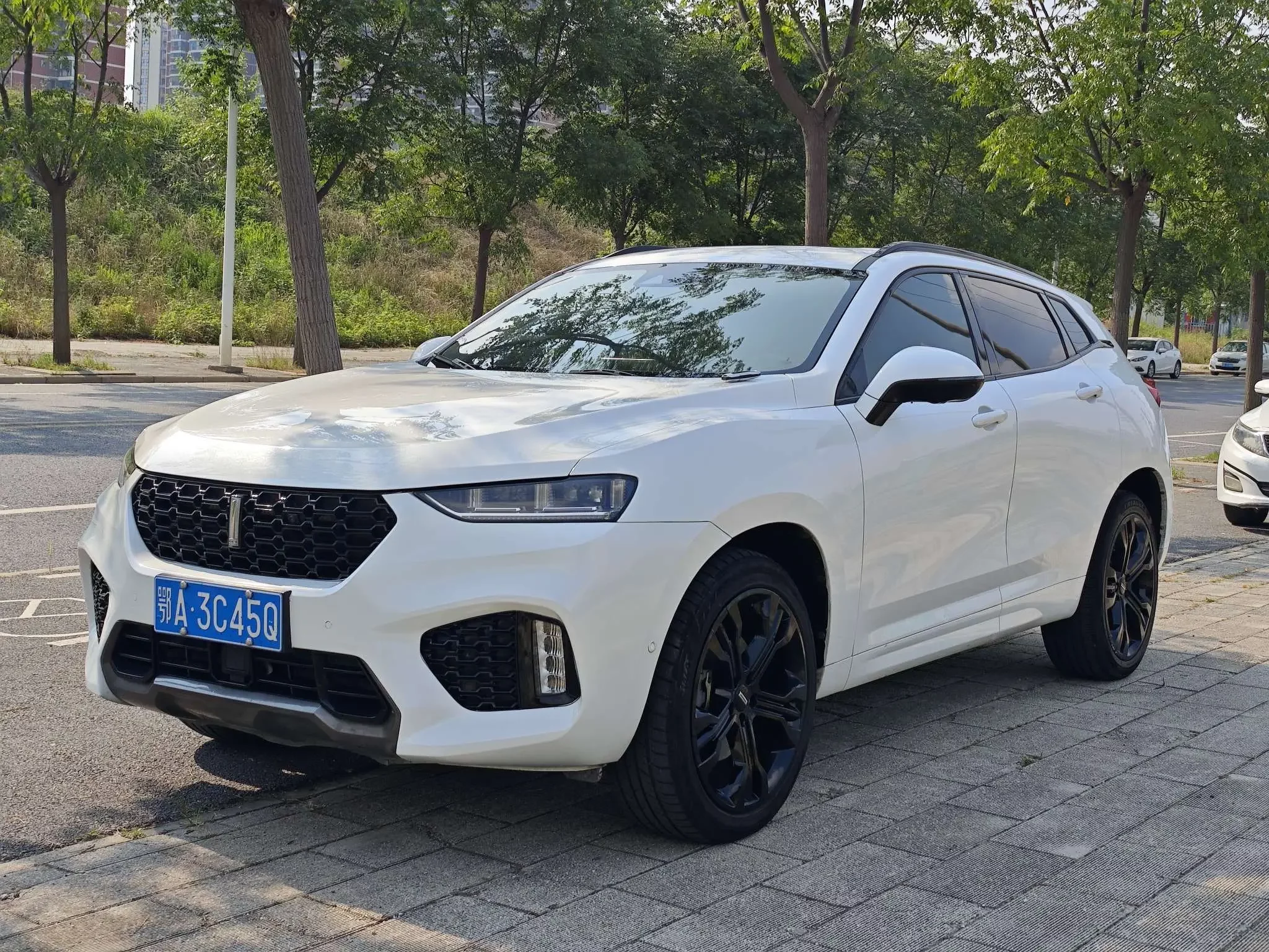 Wey Wei brand VV7