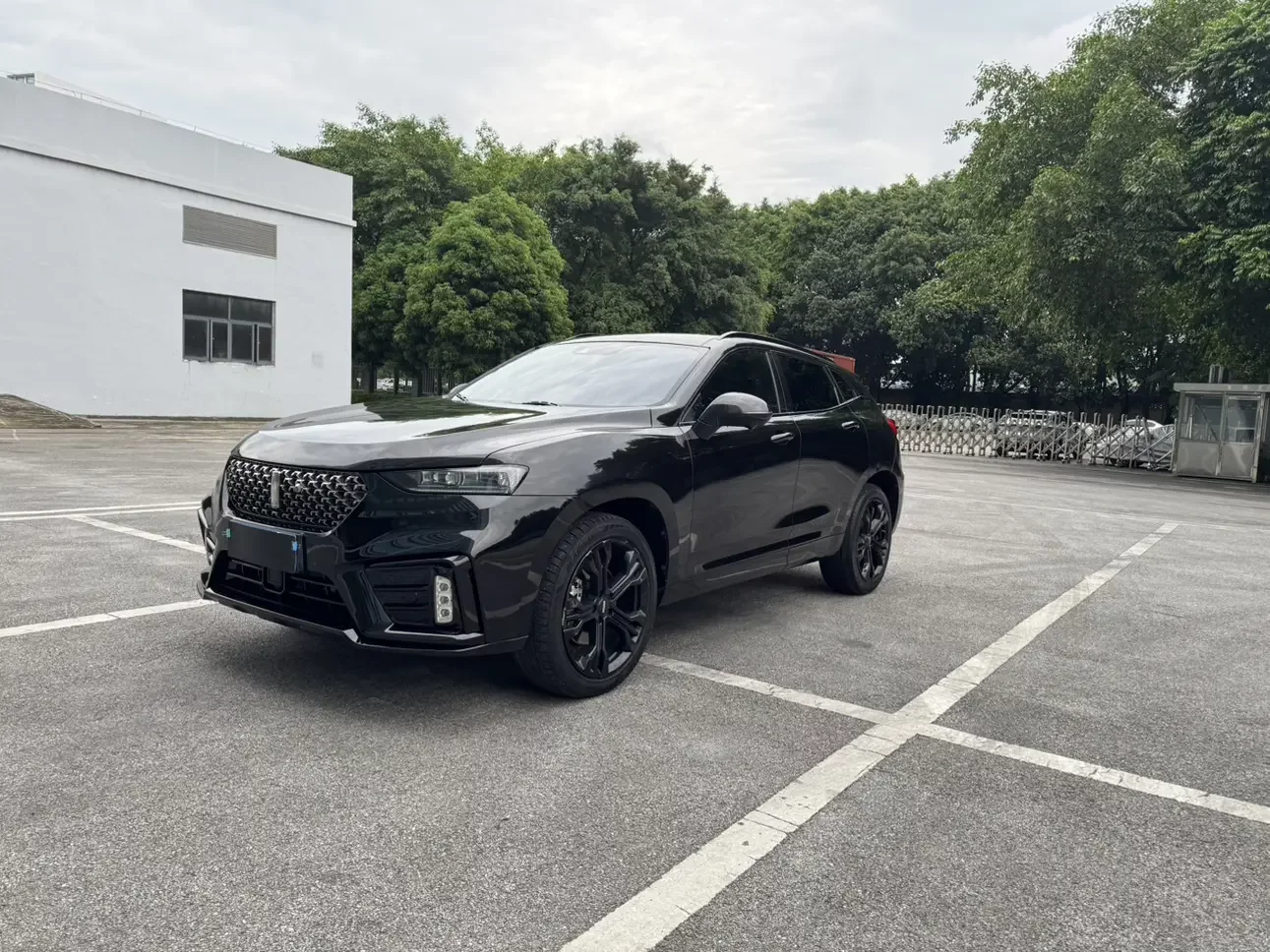 Wey Wei brand VV7