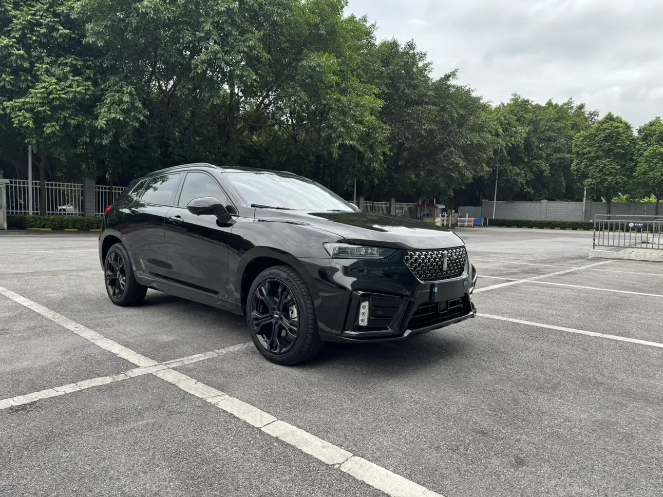 Wey Wei brand VV7