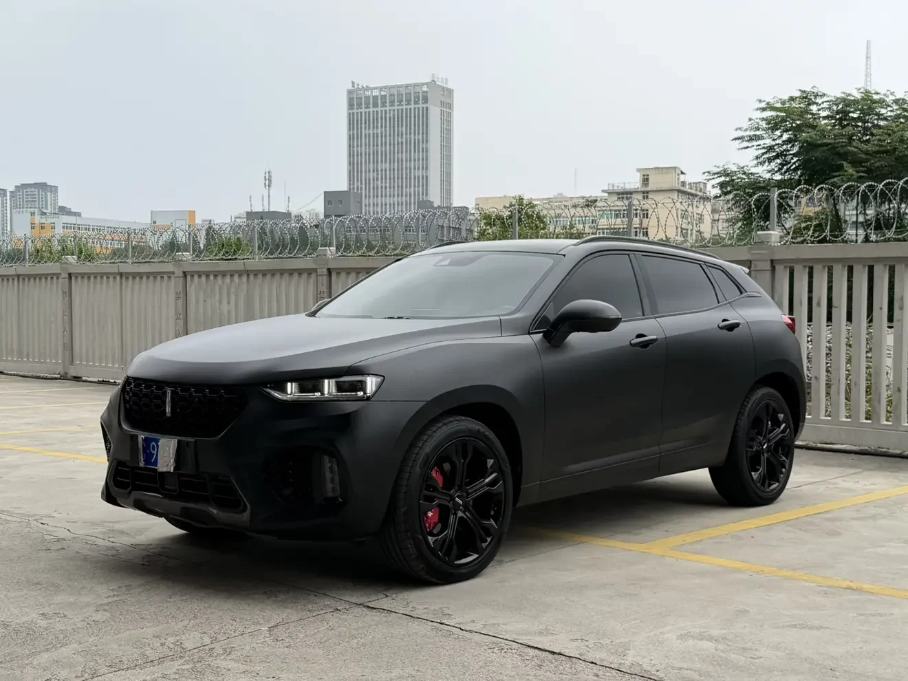 Wey Wei brand VV7