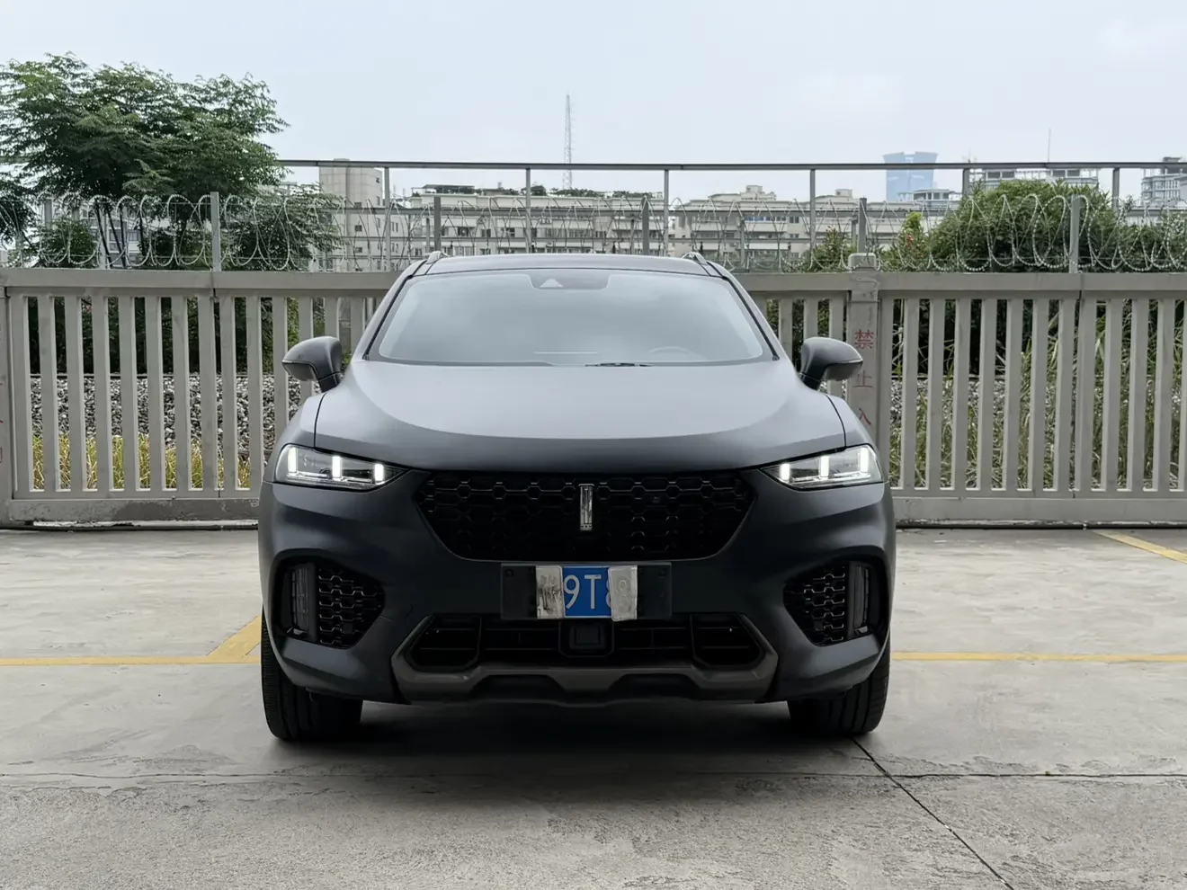 Wey Wei brand VV7