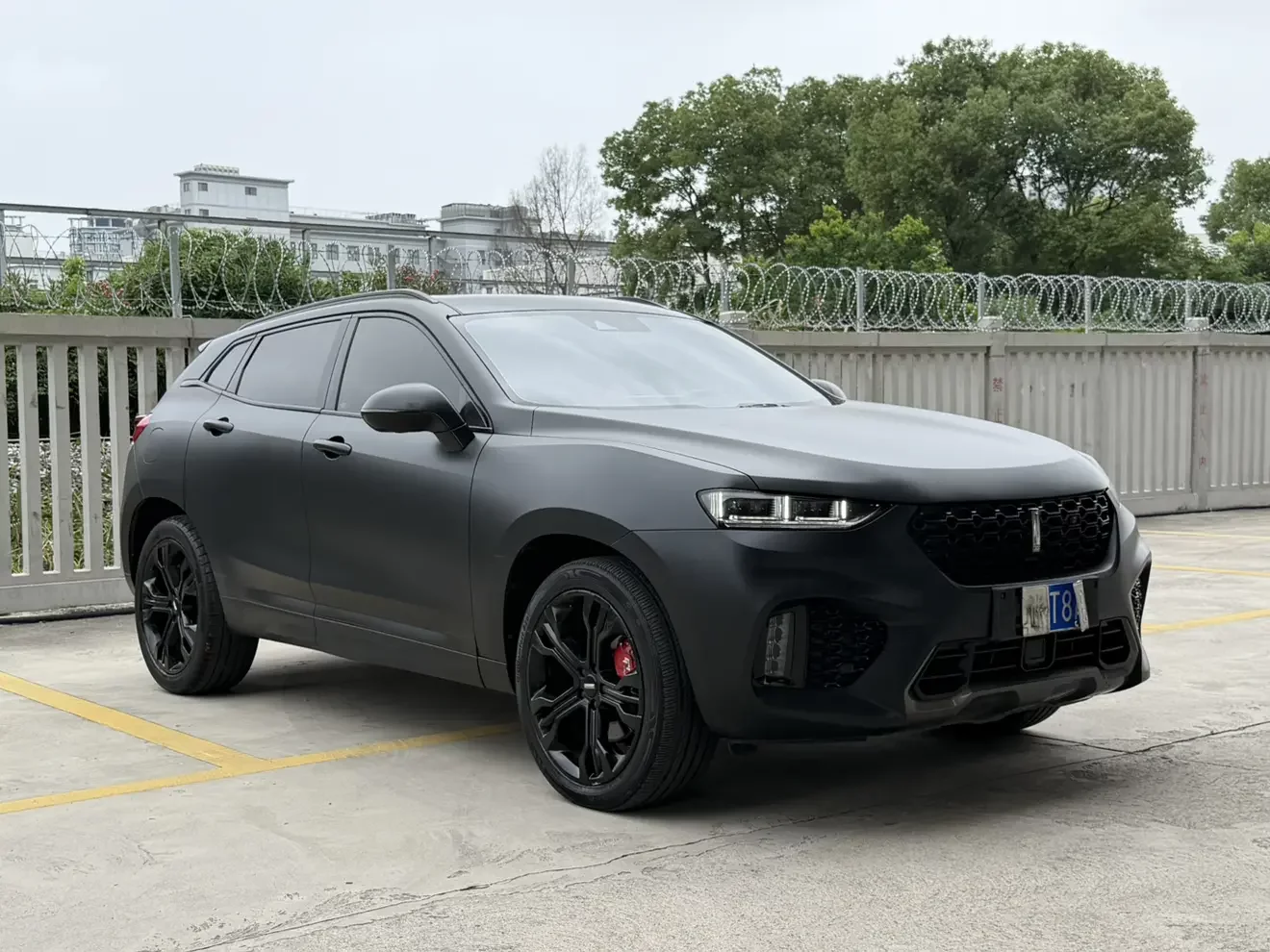 Wey Wei brand VV7