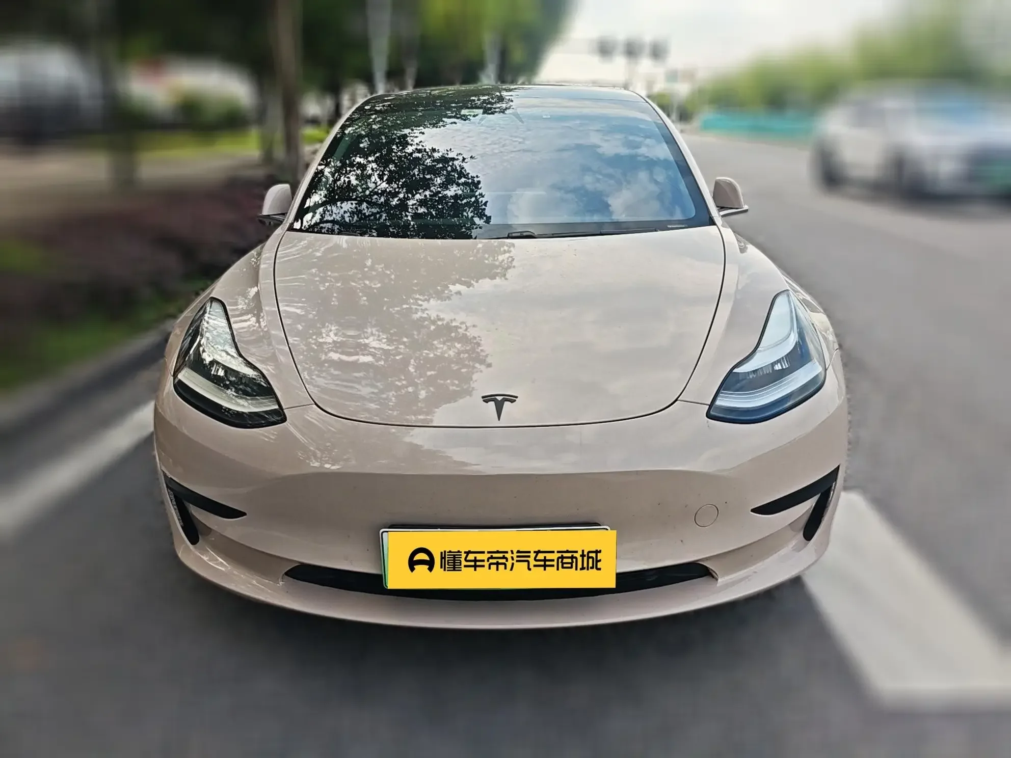 Tesla Model 3  из Китая
