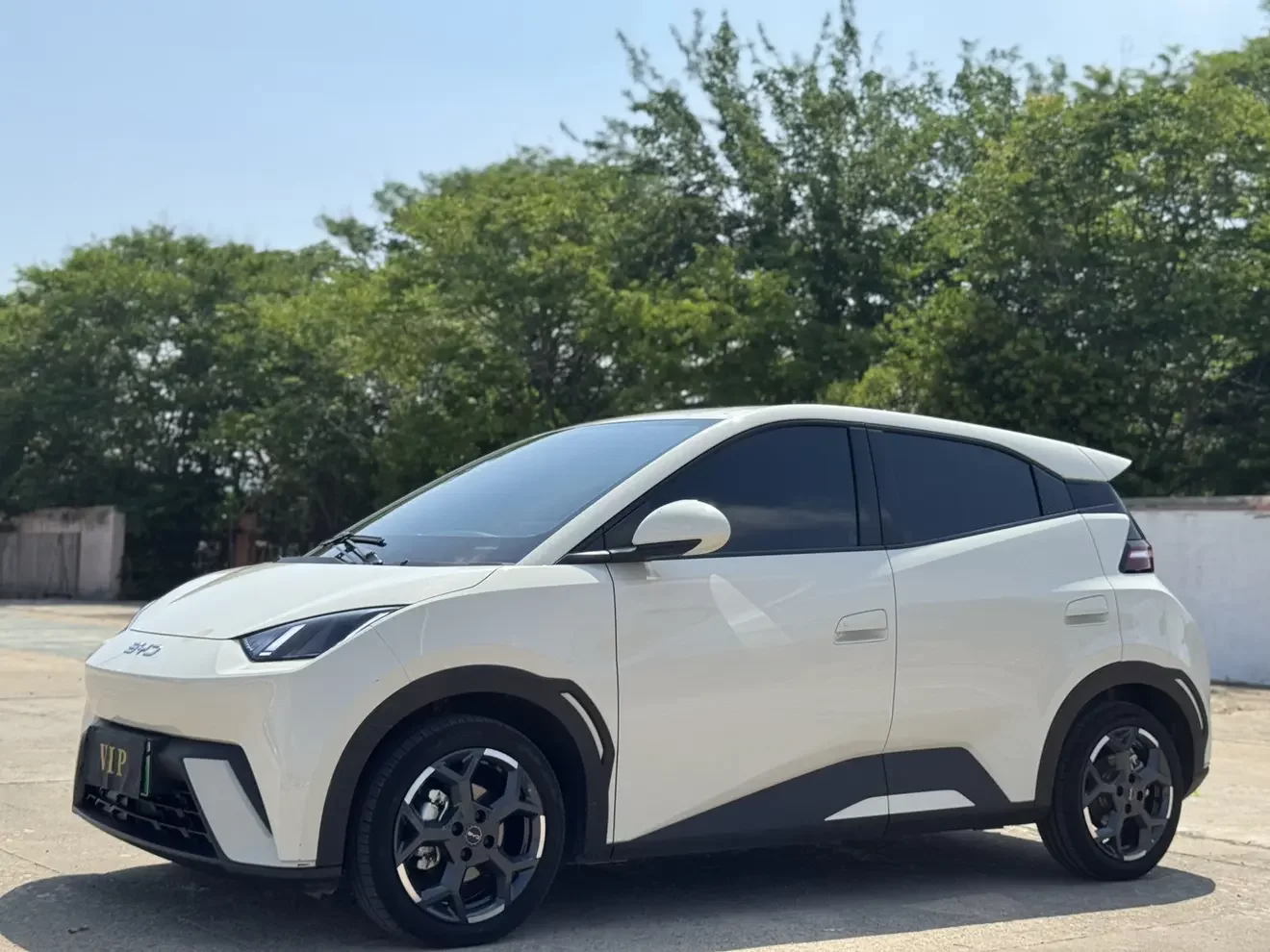 BYD seagull