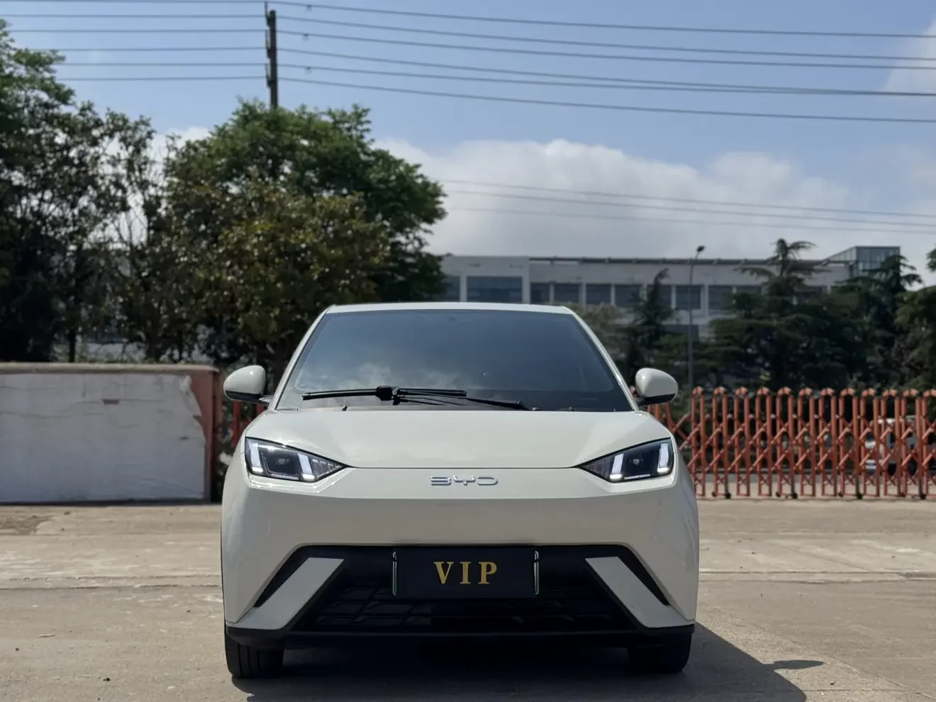 BYD seagull