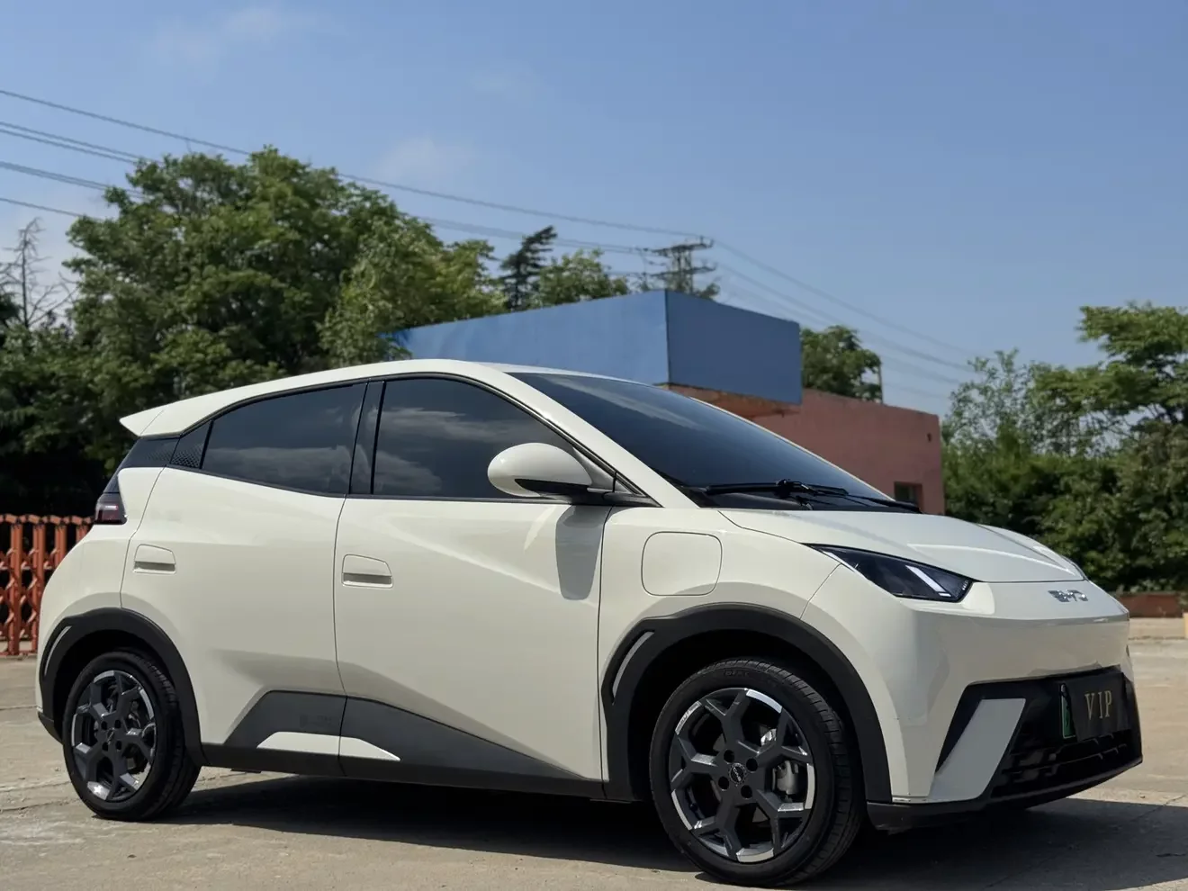 BYD seagull