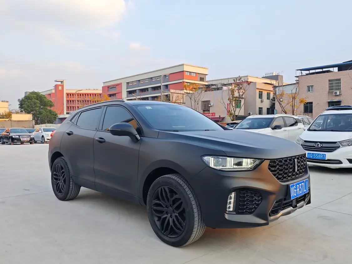 Wey Wei brand VV5