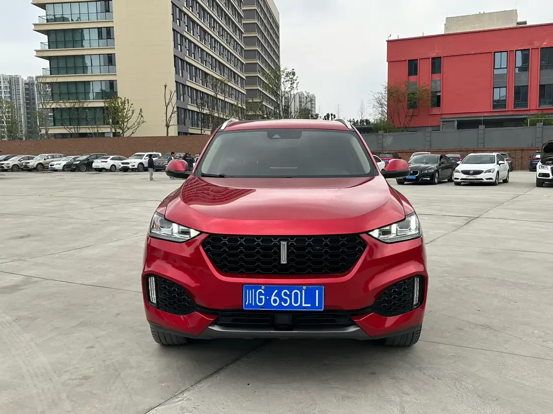 Wey Wei brand VV6