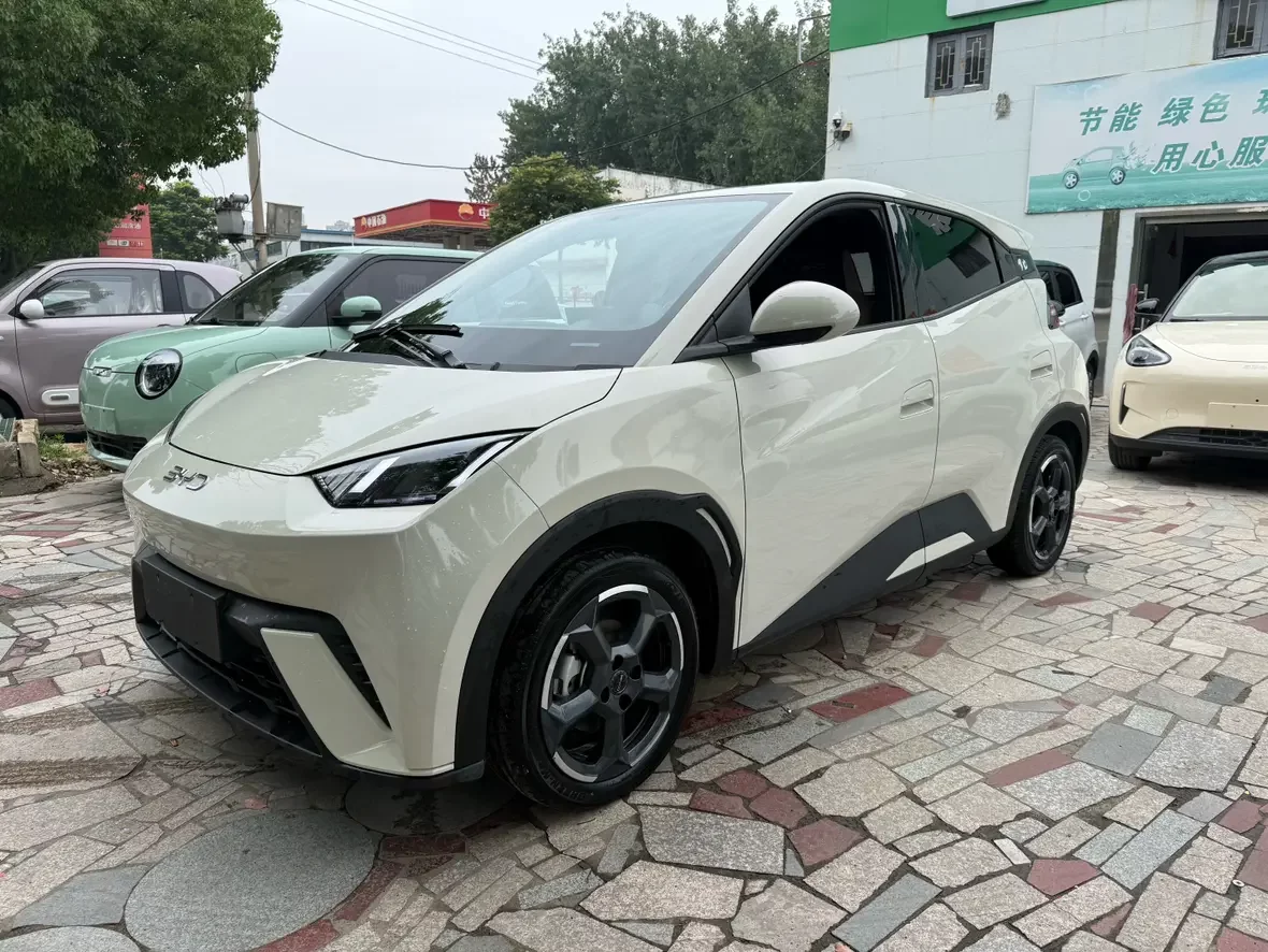BYD seagull