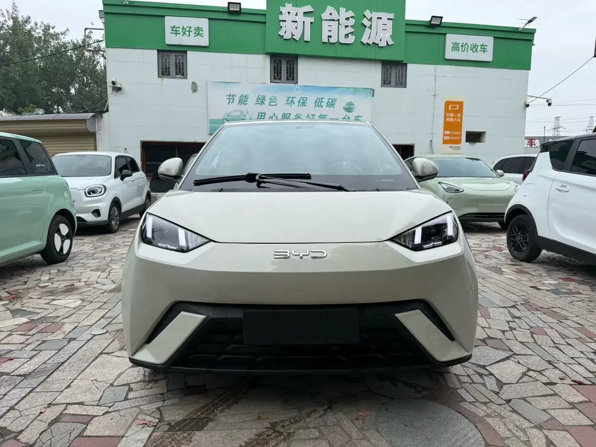 BYD seagull