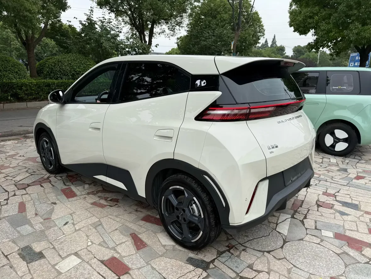 BYD seagull