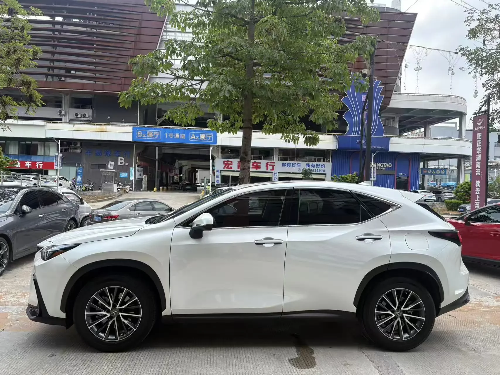 Lexus NX
