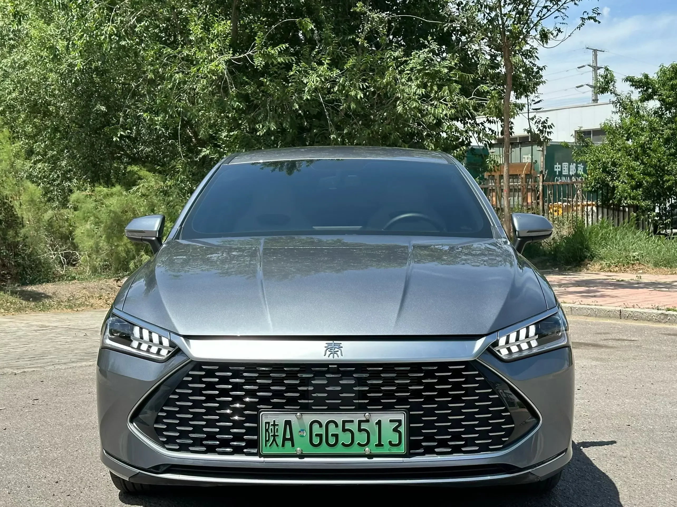 BYD Qin PLUS DM