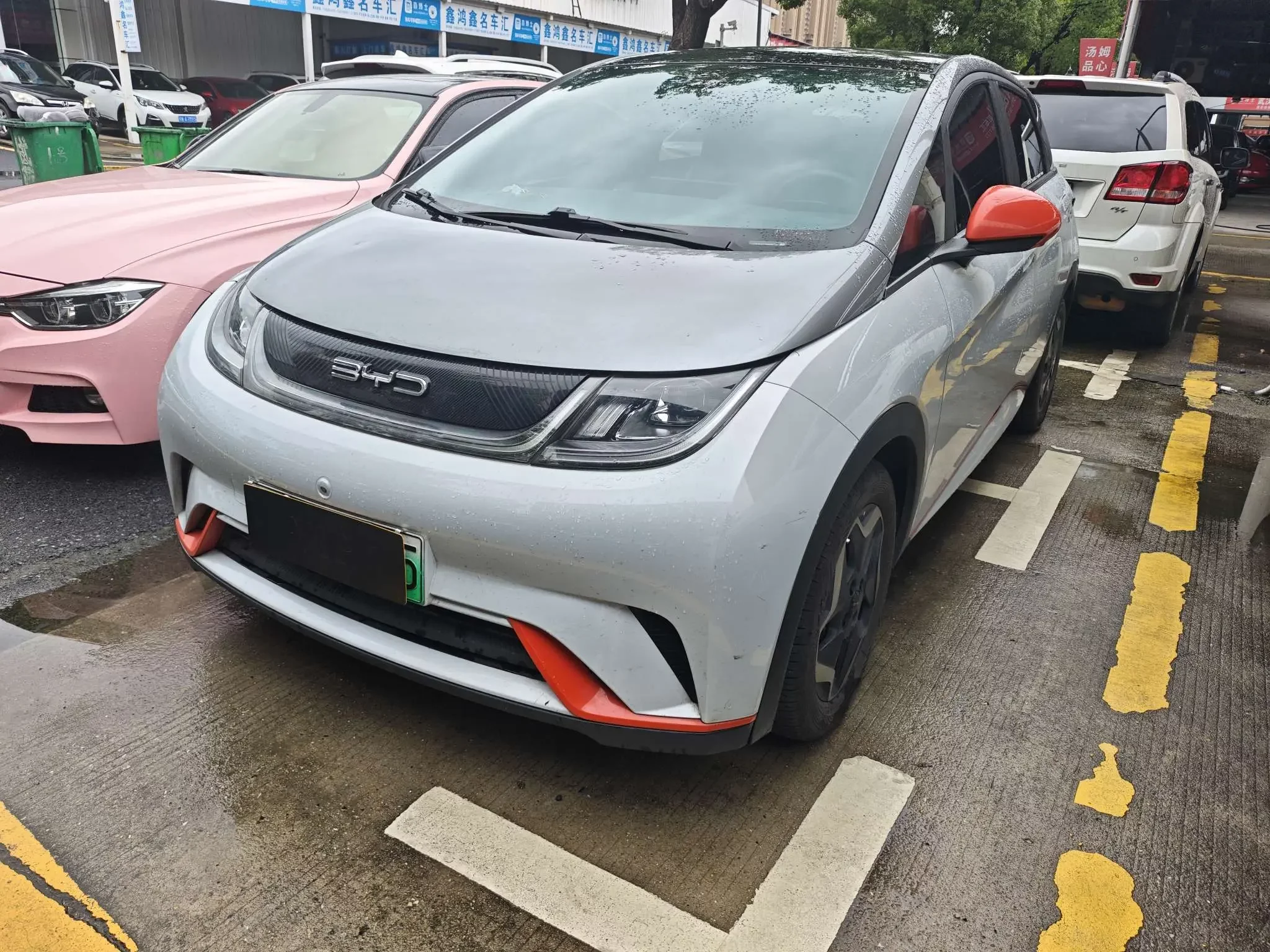 BYD dolphin