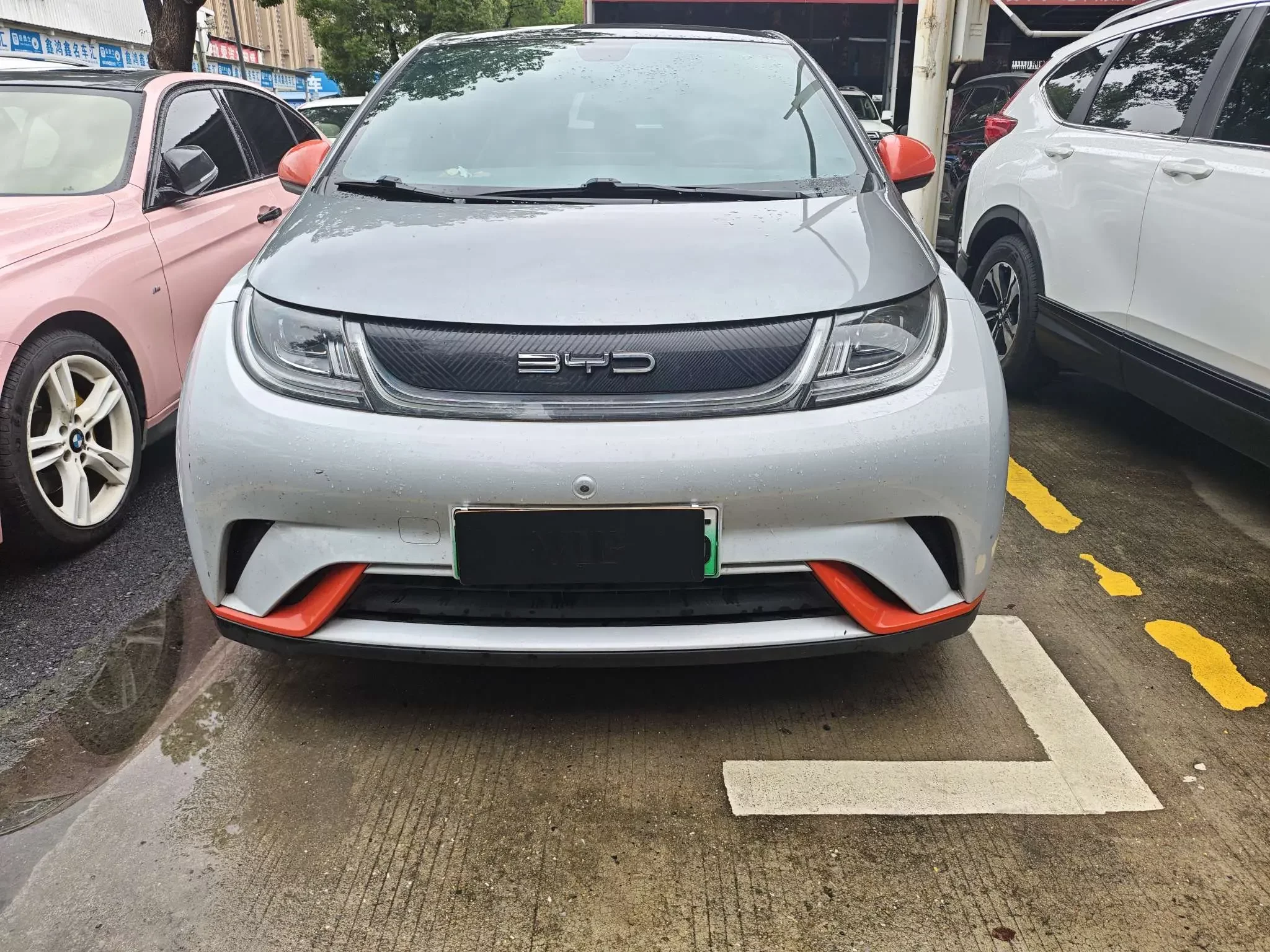 BYD dolphin