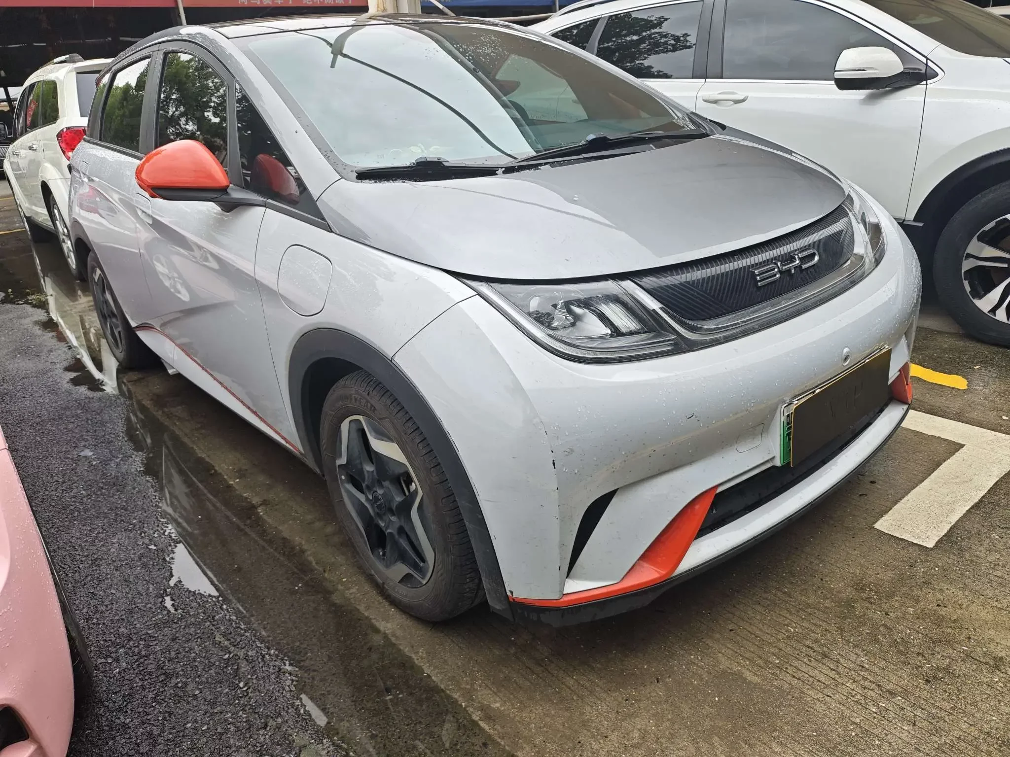 BYD dolphin