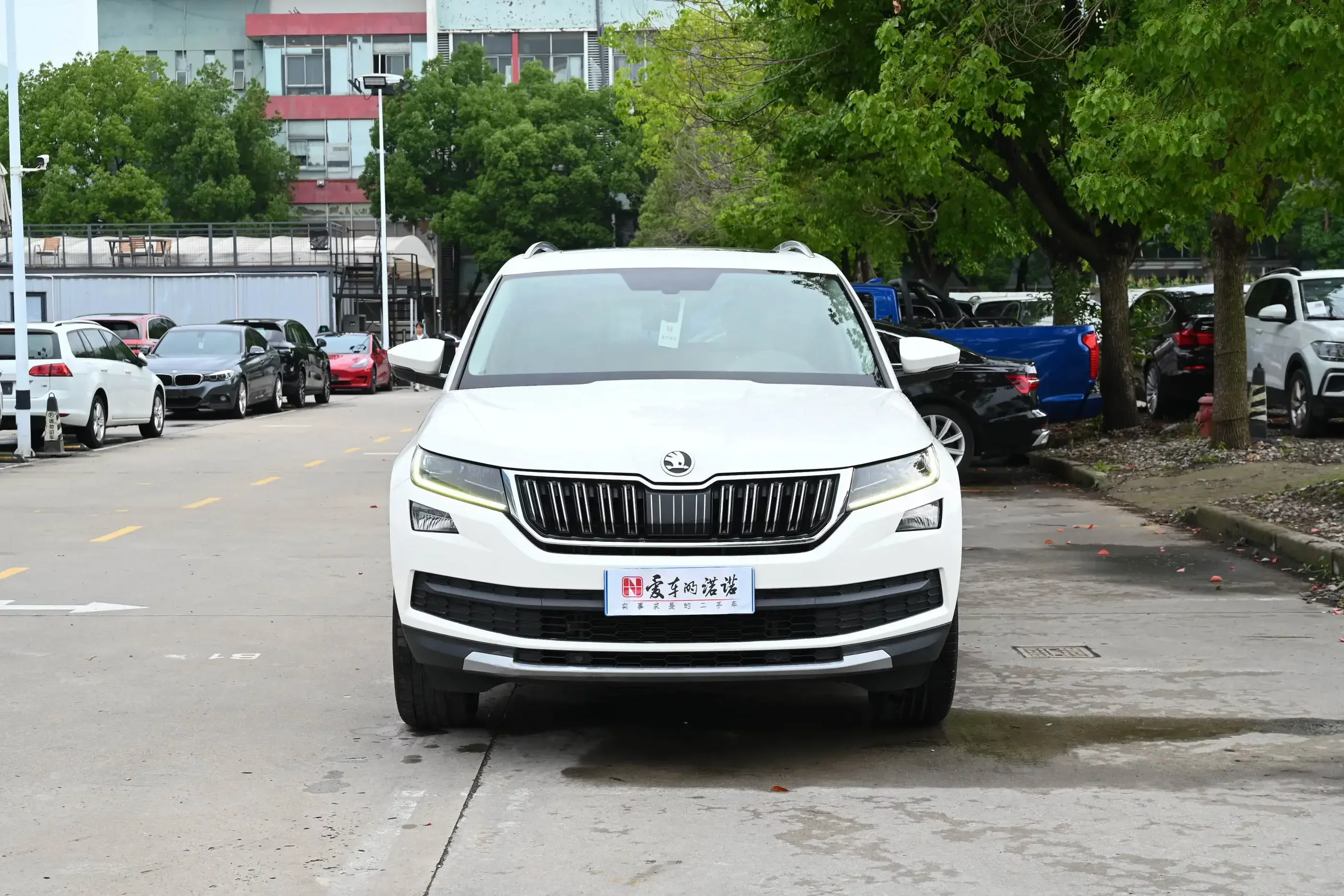Skoda Kodiaq  из Китая