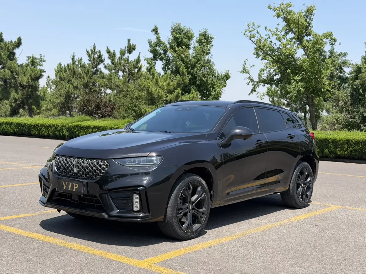 Wey Wei brand VV7