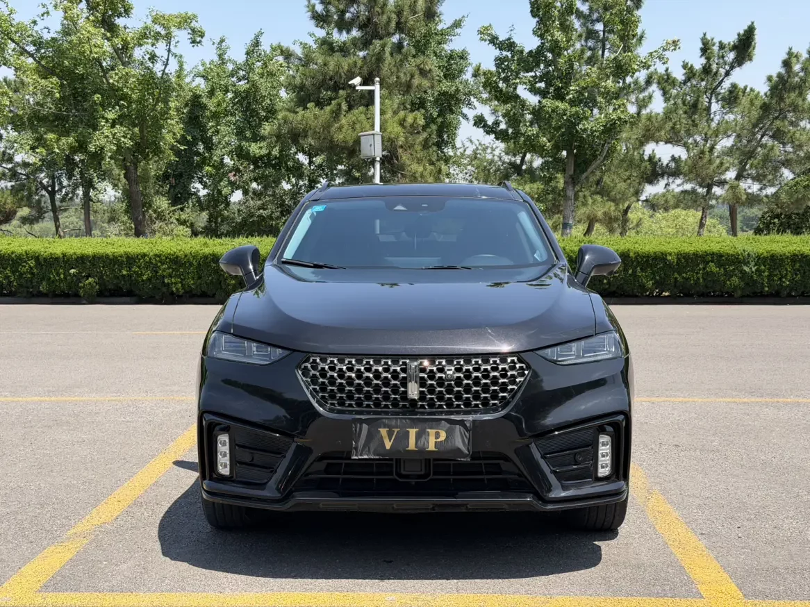 Wey Wei brand VV7
