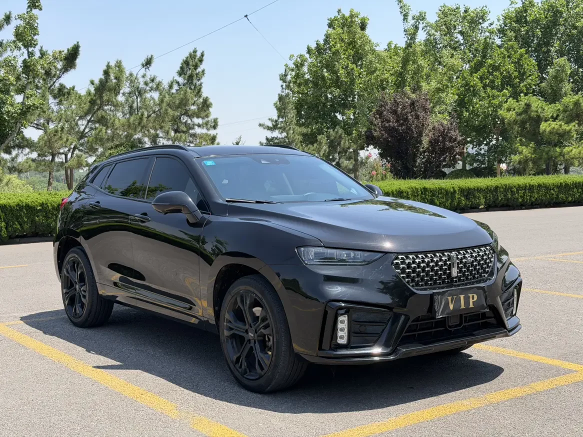 Wey Wei brand VV7