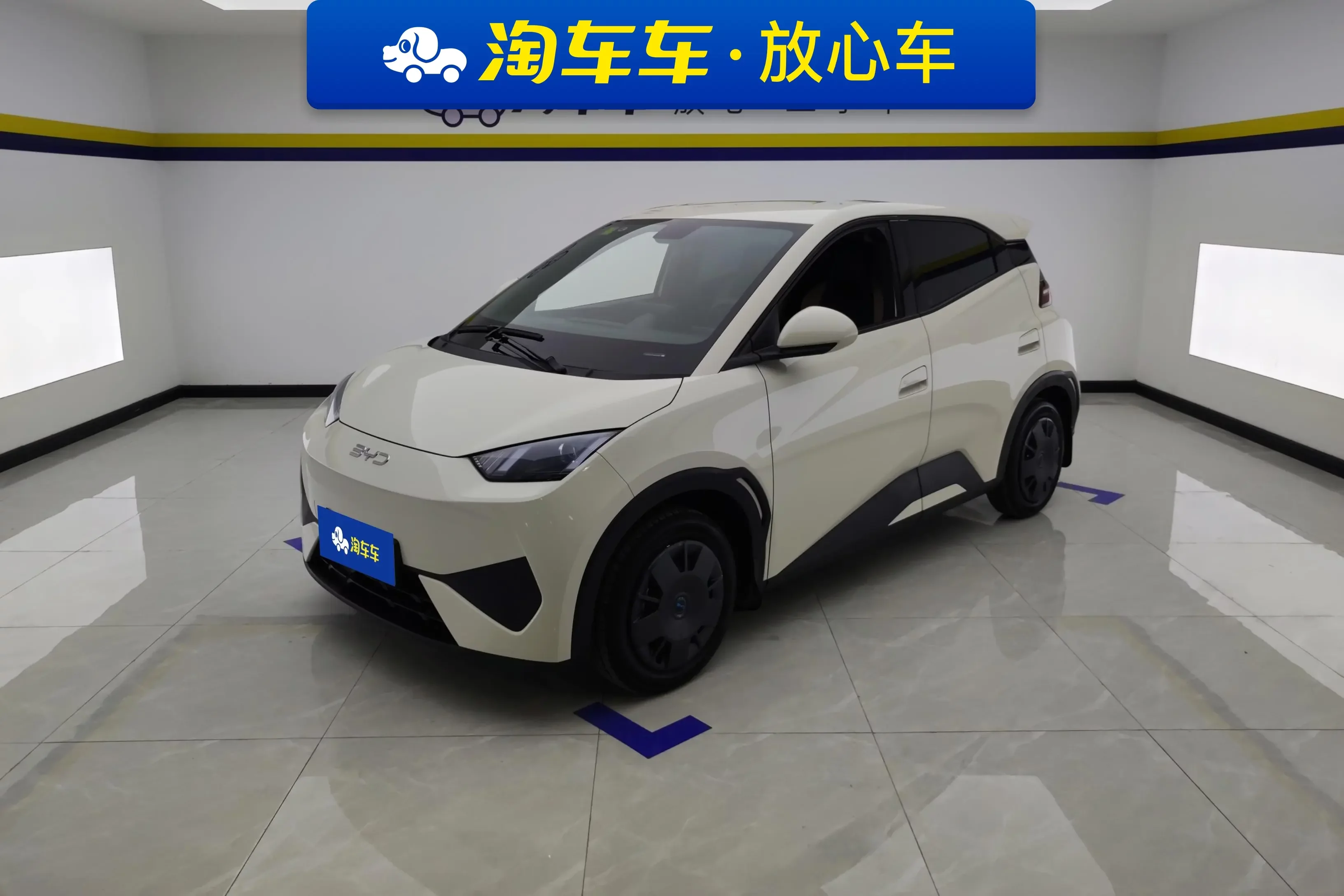 BYD seagull