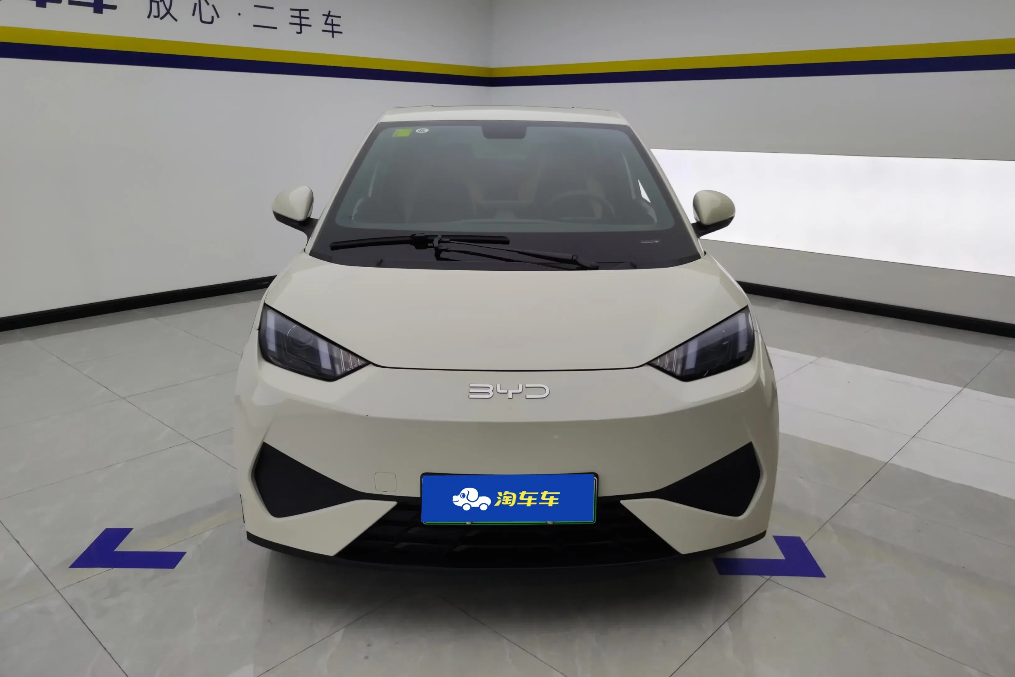 BYD seagull