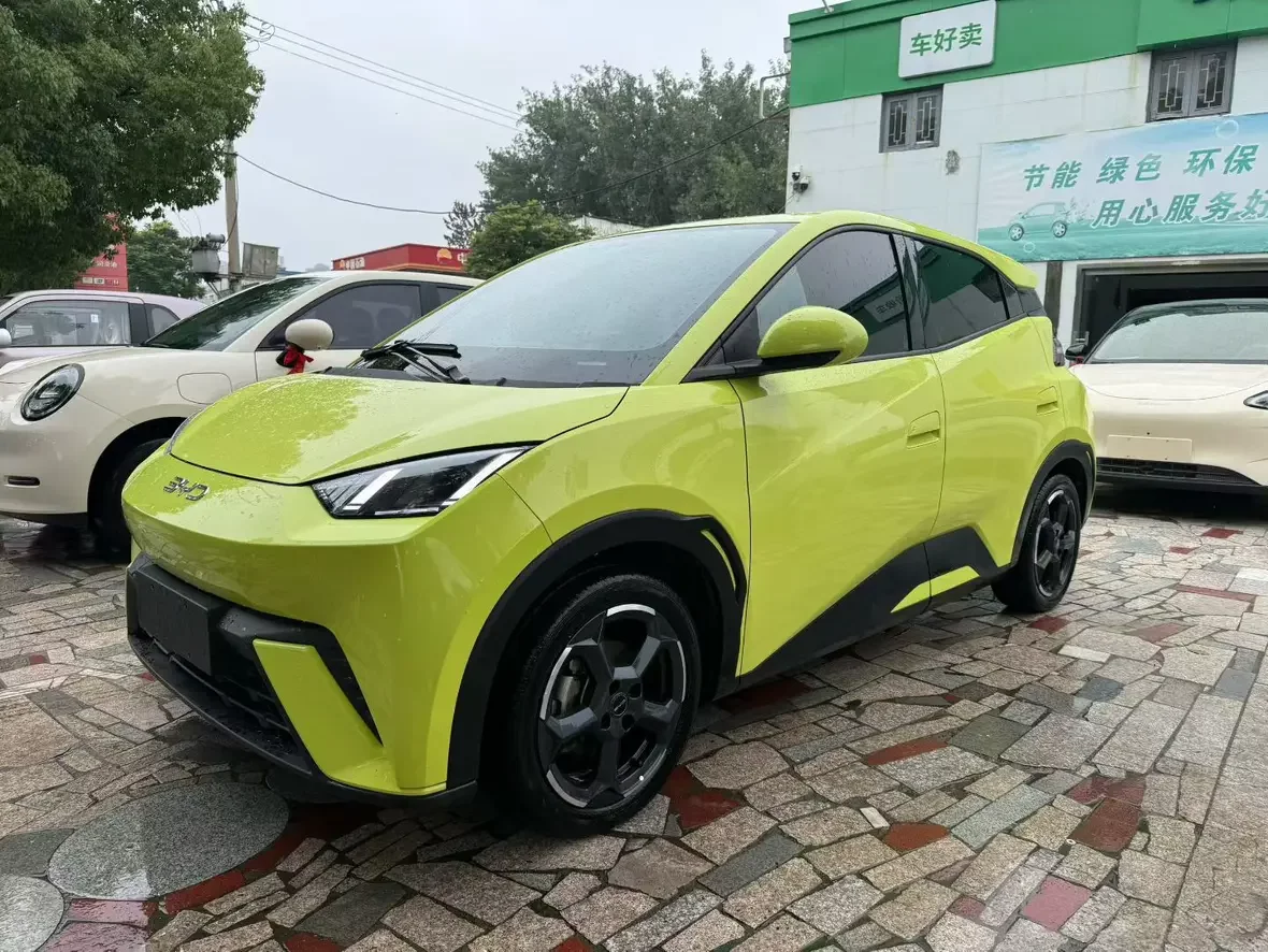 BYD seagull