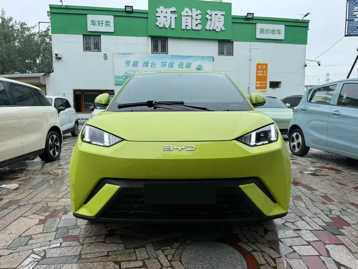 BYD seagull