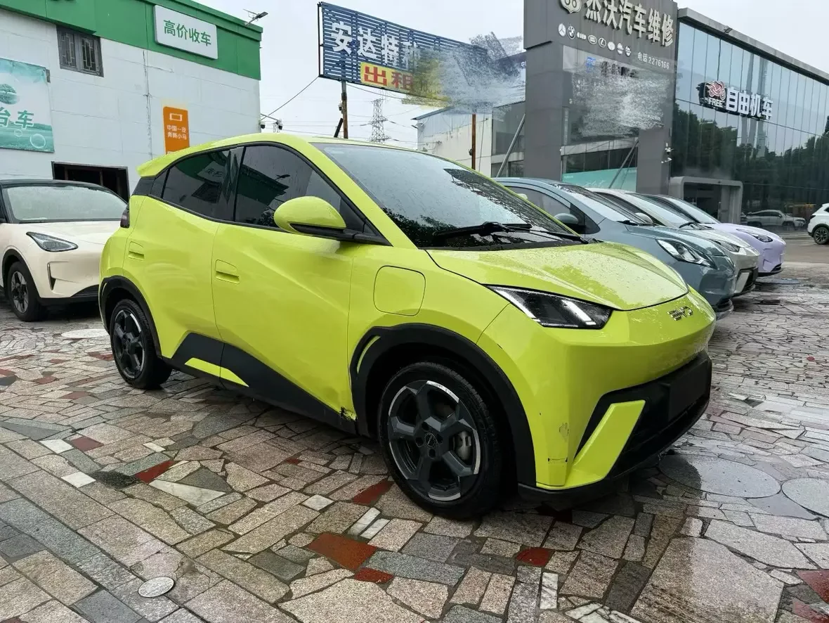 BYD seagull