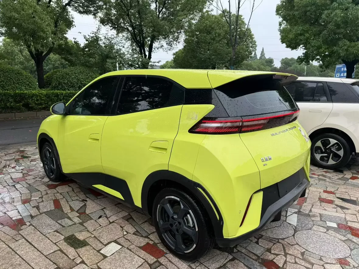 BYD seagull