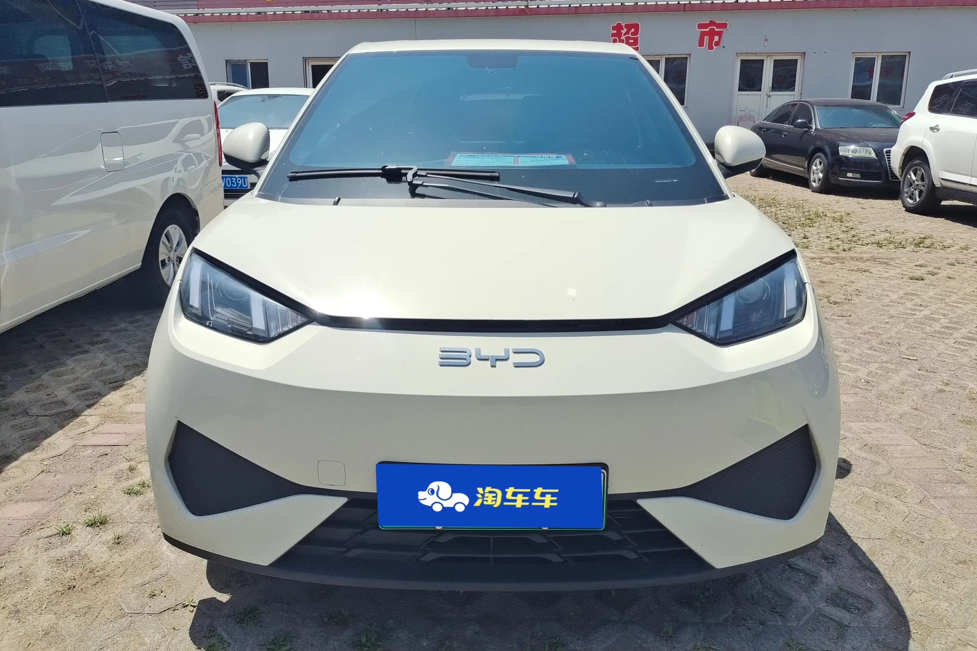 BYD seagull