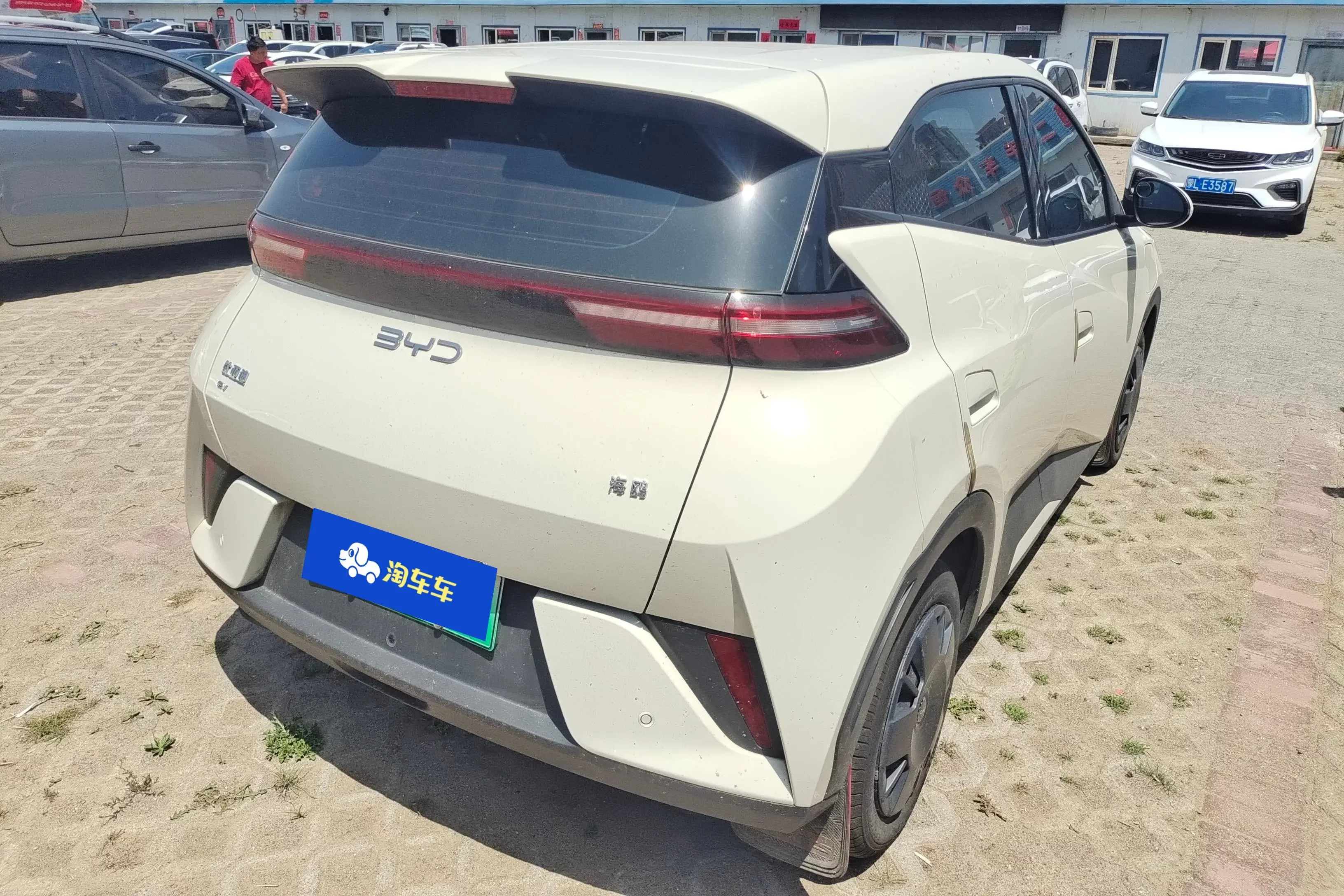 BYD seagull