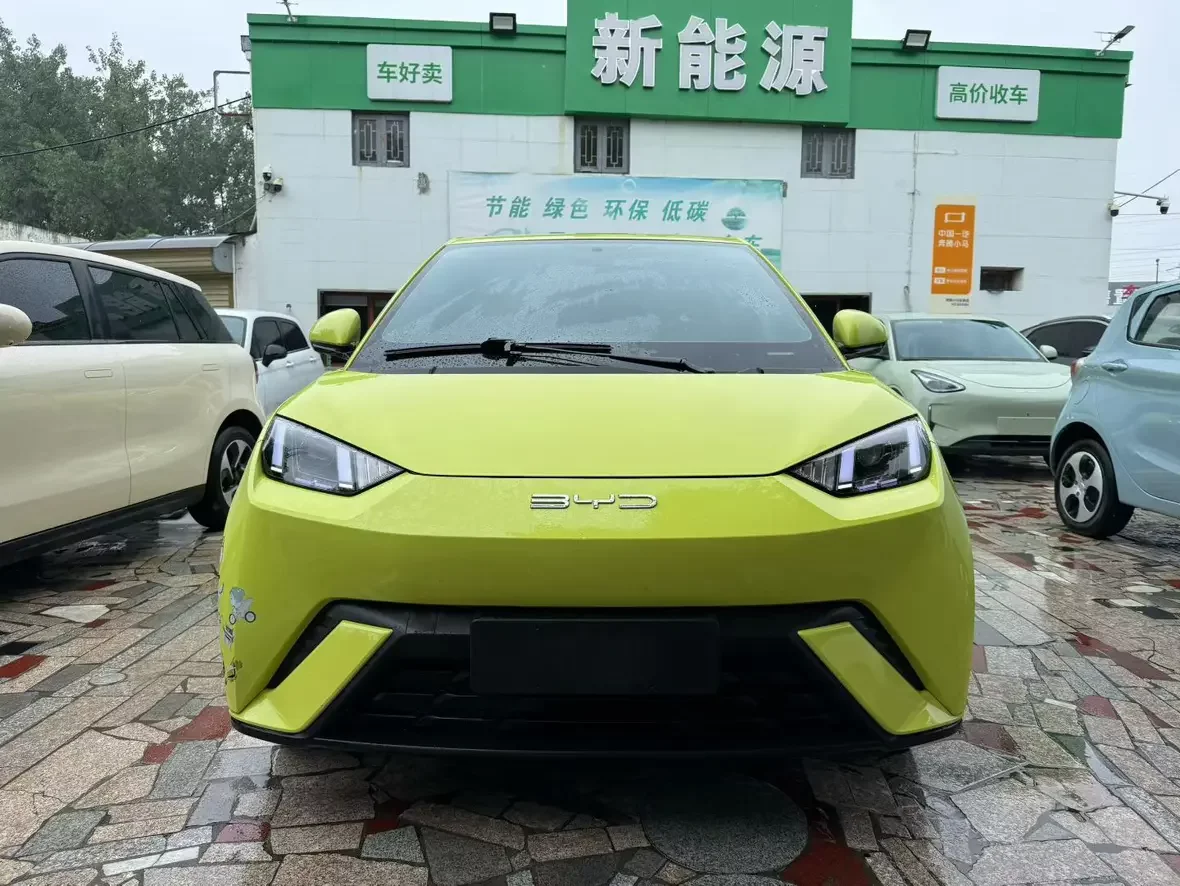 BYD seagull